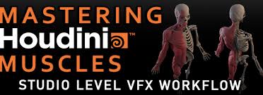 Flippednormals Mastering Houdini Muscles Studio