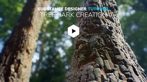 Gumroad Tree Bark Creation Substance Designer Tutorial
