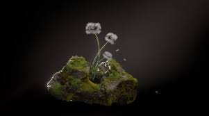 HoudiniSchool E28093 HS 223 Maths for Artists 2023 with Divyansh Mishra