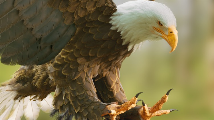 In House Tool Building for Houdini TDs By Tolga Ersel