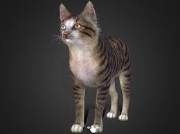 Sketchfab Collection July 1 2024