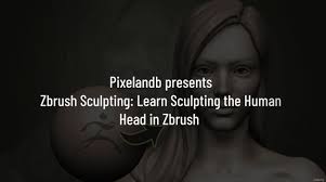 Zbrush Sculpting Learn Sculpting the Human Head in Zbrush 1