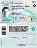 Alaska Driver License vector quality