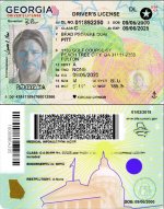 Georgia Driver License vector quality