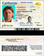 California Driver License vector quality
