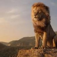 TheLionKing