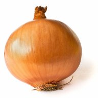 onion101