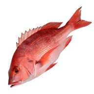 aattaa