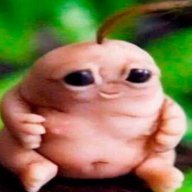termit