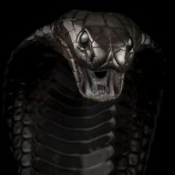 Black Cobra
