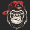 MonkeyBase