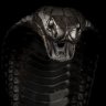 Black Cobra