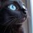 Black4Cat